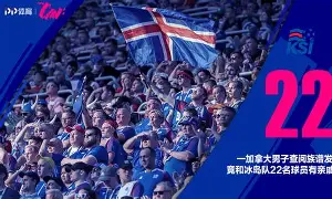 关于冰岛队逆转立陶宛，欧预赛晋级望日渐清晰的信息